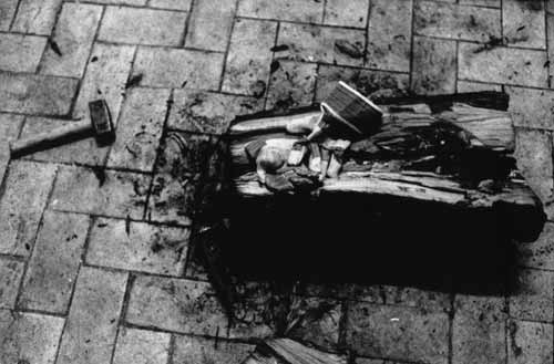 Der Natur ihr Geheimnis entlocken